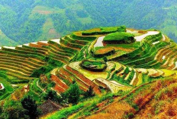 赏梯田看秋景,就来指南村吧!(图2) 指南村梯田