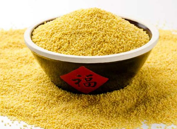 黄旗小米(图2) 黄旗小米