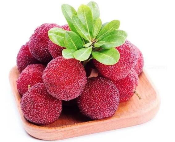 杨梅(图1) 酸甜的杨梅