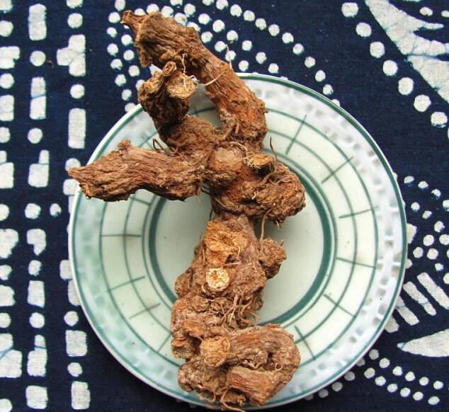 於术(图1) 天然的於术