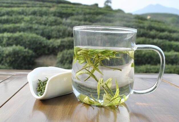 白茶(图1) 山里的安吉白茶