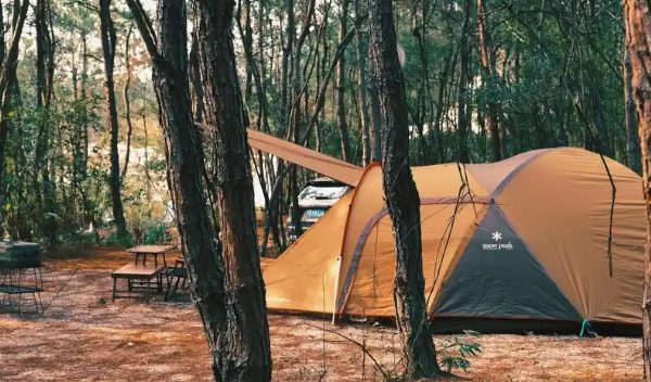 安吉理想露营地推荐:猪罗纪与松林湖营地(图1) 安吉侏罗纪营地