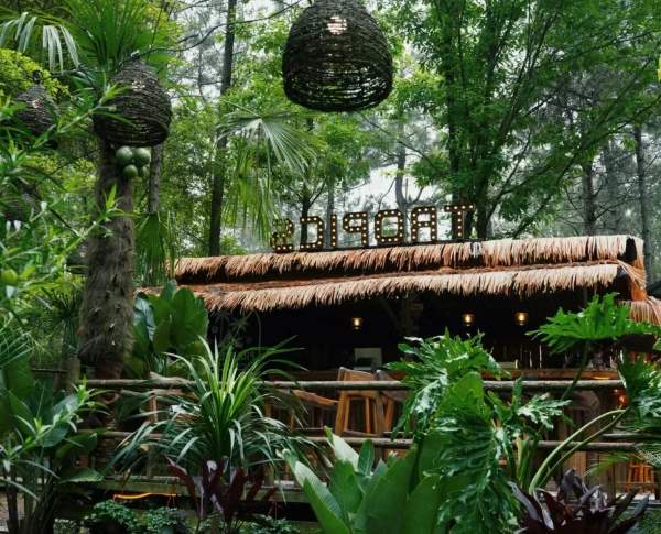 安吉理想露营地推荐:猪罗纪与松林湖营地(图3) 热带雨林咖啡