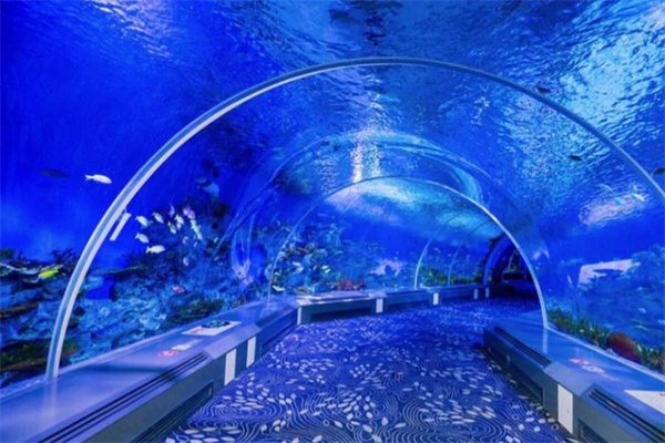 到日照海洋公园,来一次难忘的海洋之旅(图2) 海底世界