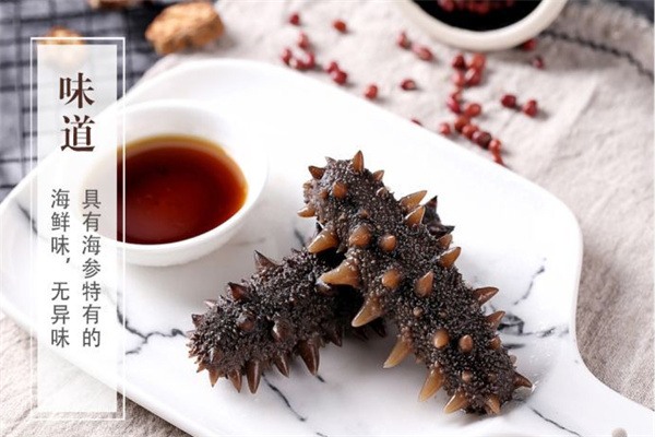 宣传图册上的海参