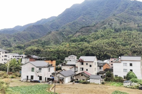 临安湍口“醒山书院”,养心养生好去处(图1) 临安湍口村庄