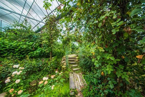 月亮桥村,镶嵌在天目山麓的诗意明珠(图3) 花园