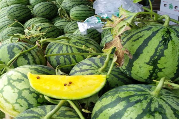 横溪西瓜(图1) 横溪西瓜