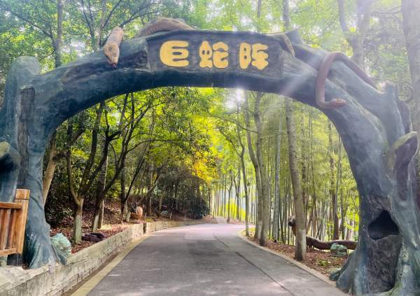 快乐女神节,就来百草原(图5) 巨蛇阵