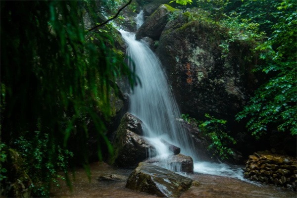 深山古刹,来一场带着禅意的吸氧之旅吧(图2) 大树王景区