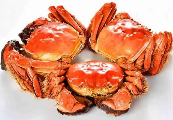 蒸熟的阳澄湖大闸蟹