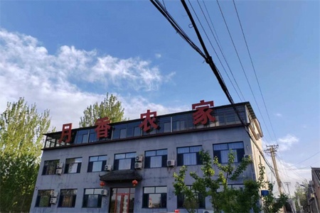 月香农家院(图1) 月香农家院全景