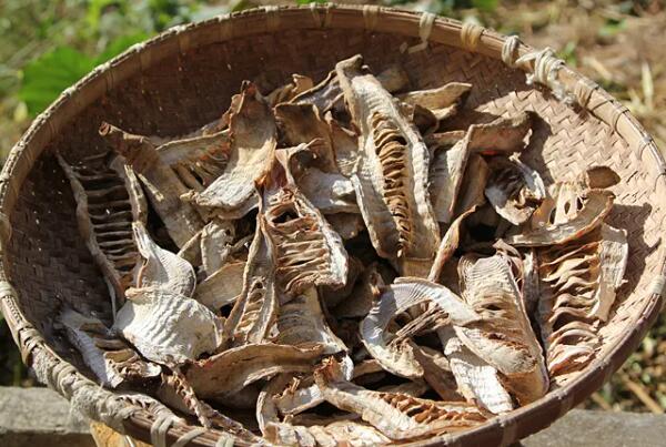 笋干(图1) 晾晒的笋干