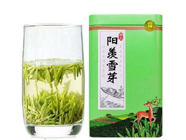 阳羡雪芽(图3) 泡开的阳羡雪芽