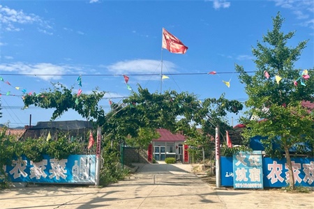 滨城有约农家院全景