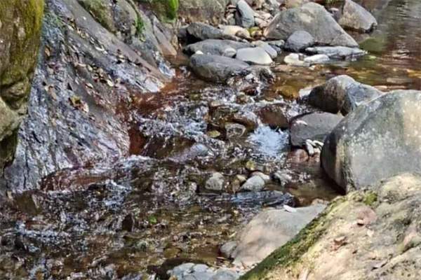 初秋的太湖源,从山谷溪流到无敌太湖的自然之美(图2) 太湖源溪流