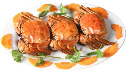 太湖蟹(图3) 清蒸太湖蟹