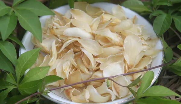 百合(图2) 宜兴百合干