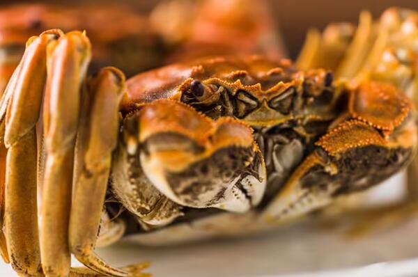 大闸蟹(图2) 蒸熟的大闸蟹