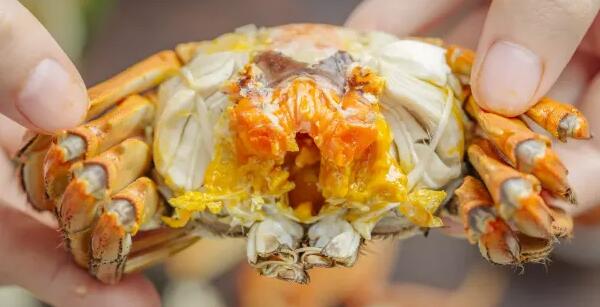 大闸蟹(图3) 掰开的大闸蟹