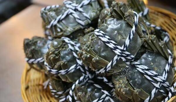 大闸蟹(图1) 绑住的大闸蟹