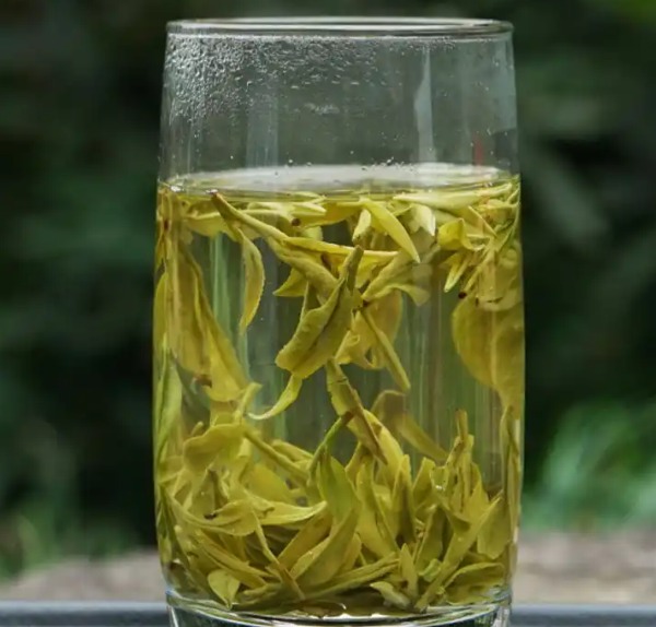 泡好的大佛龙井