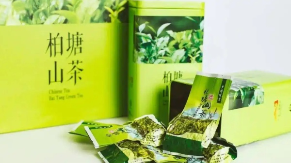 柏塘山茶(图3) 柏塘山茶